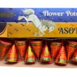 FLOWER POTS ASOKA- EVEREST