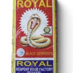 SNAKE SERPENT BIG
